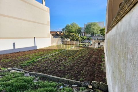 Helårsgrund i Martano, Lecce, Martano - € 61.000 | Ref: SE012 - foto 6